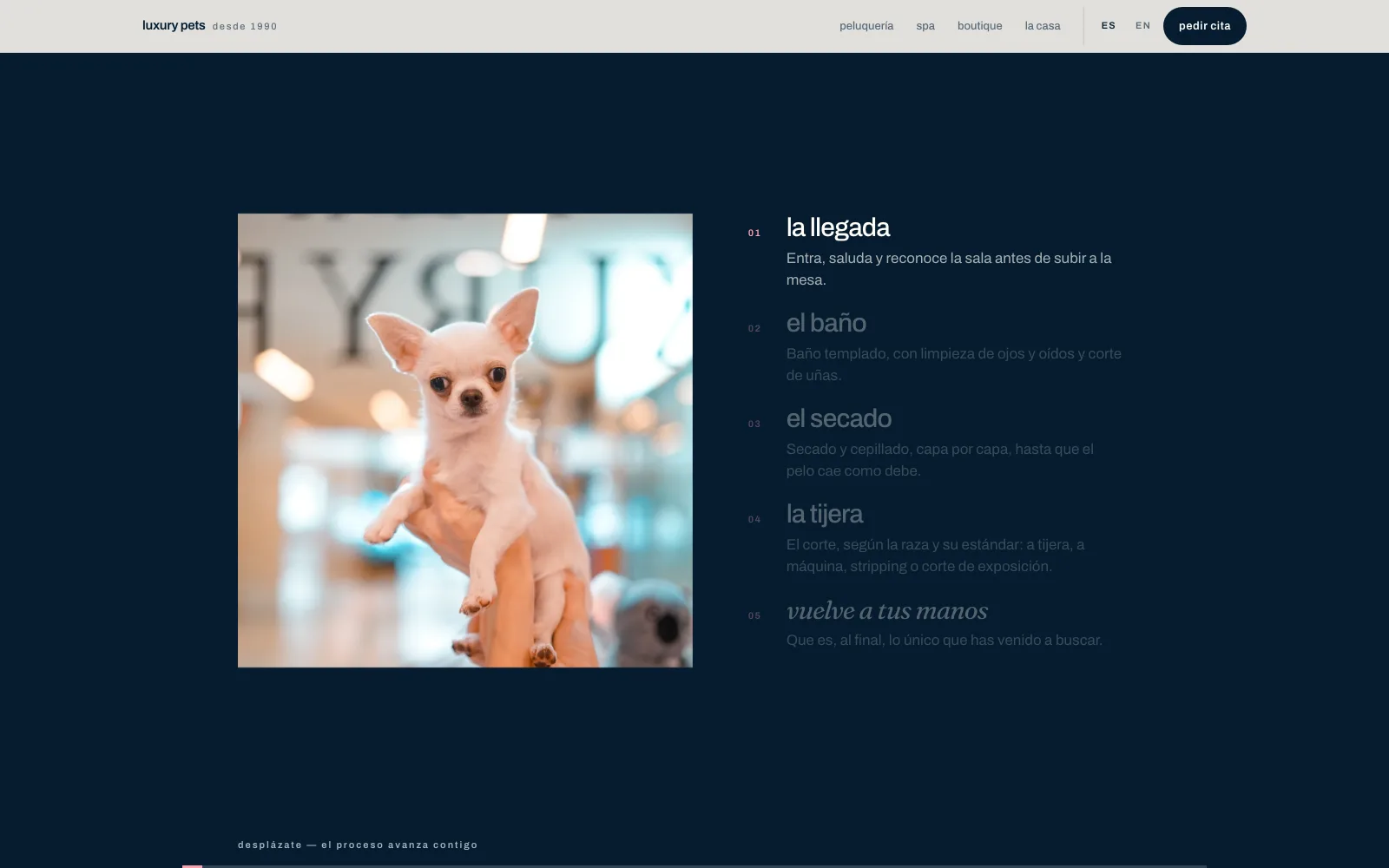 Luxury Pets, Screen 1